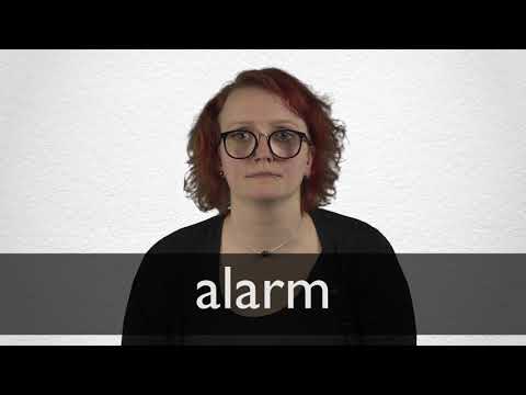 ALARM Synonyms  Collins English Thesaurus