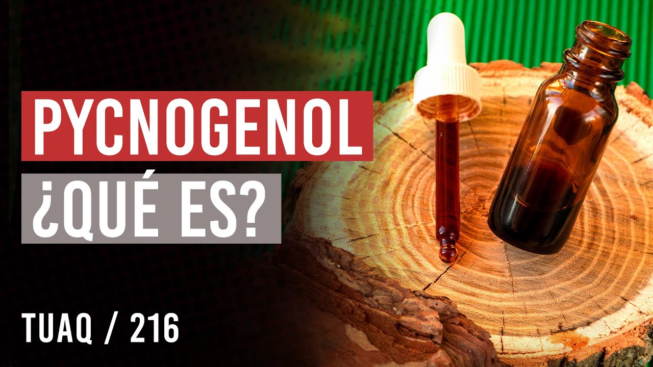 #Pynogenol ¿Qué es