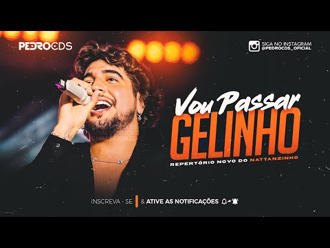 NATTAN - VOU PASSAR GELINHO