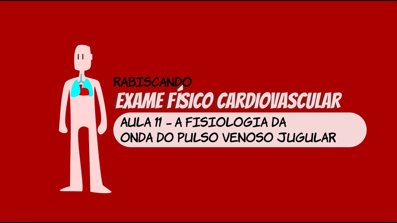 Inspeção das veias do pescoço IV - Fisiologia da onda de pulso venoso - Exame cardiovascular