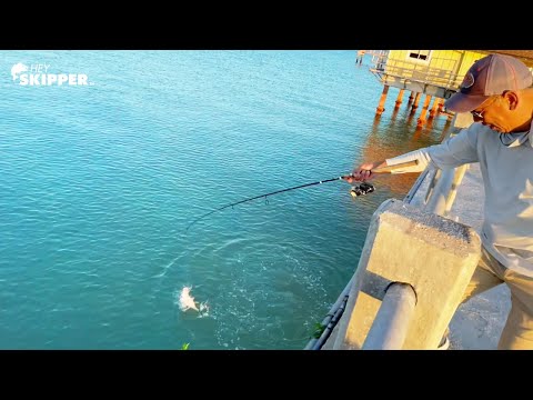 Catch the BIGGEST fish at the Pier! 3 SIMPLE METHODS for Pier Fishing!