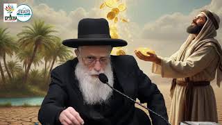 הרב יהודה יוספי | פרשת בשלח | הכסף בדרך אליך (ארגון ענפים) - התמונה מוצגת ישירות מתוך אתר האינטרנט יוטיוב. זכויות היוצרים בתמונה שייכות ליוצרה. קישור קרדיט למקור התוכן נמצא בתוך דף הסרטון