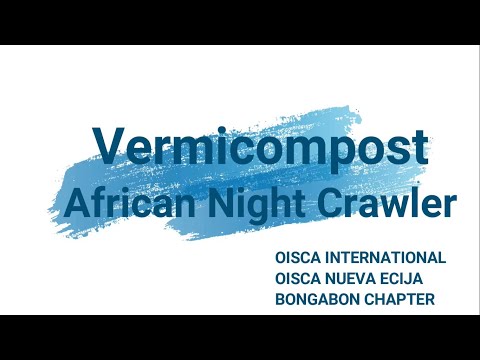 Vermicomposting | Tips and Procedures (African Night Crawler) - Sir Walt