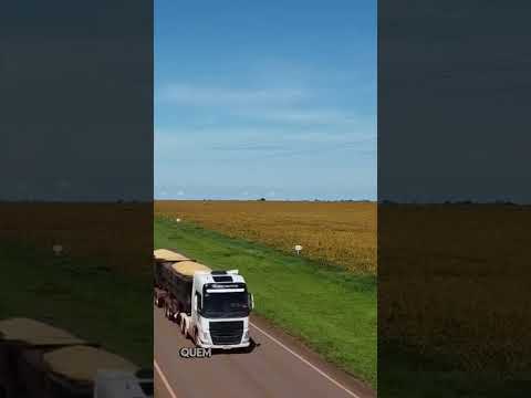 Bem-vindo a Santa Rita do Trivelato-MT #santaritadotrivelato#matogrosso #cidade #turismo