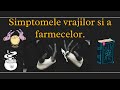 Simptomele Vrajilor Si A Farmecelor Cum Imi Dau Seama Daca Am Farmece Sau Vraji Facute