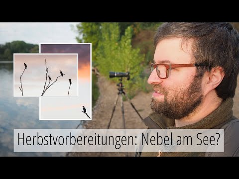 Naturfotografie: MOTIVSUCHE für den HERBST #2 - Nebel am See?