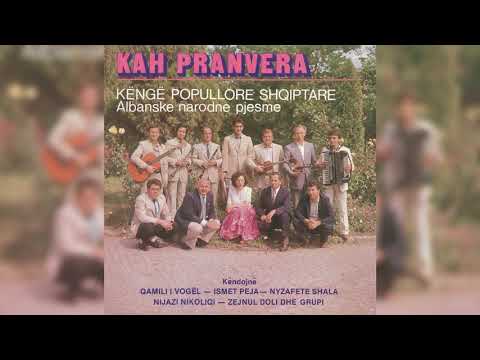 NARODNI ORKESTAR IZ DAKOVICE - CELI KARANFILI CELI