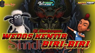Download lagu WEDOS KENTIR ❌ BIRI-BIRI VERSI MBEROTT 🔥SINDU REJO ft FAUZI  mp3