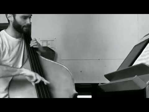 Solo by Marc Johnson on "Don't forget the Poet" by Enrico  Pieranunzi
