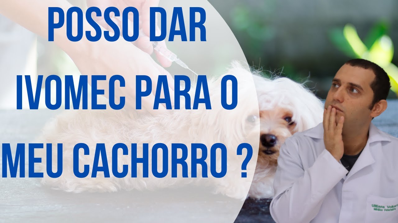 Posso dar ivomec para o meu cachorro ?
