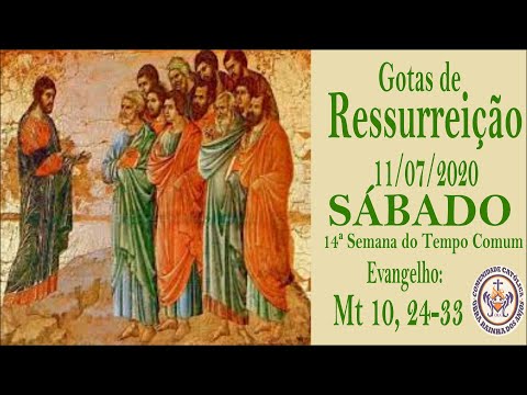 Evangelho do dia 11/07/2020 (Mt 10, 24-33)