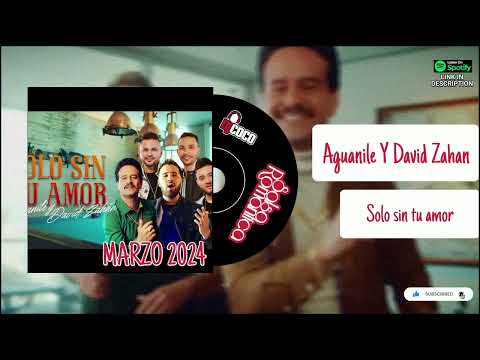 AGUANILE y DAVID ZAHAN - SOLO SIN TU AMOR - 2024 SALSA ROMANTICA, SALSA SENSUAL