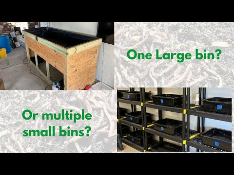 One big bin or multiple small bins for your red wiggler compost worms?