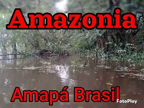 Amazônia -pracuuba Amapá