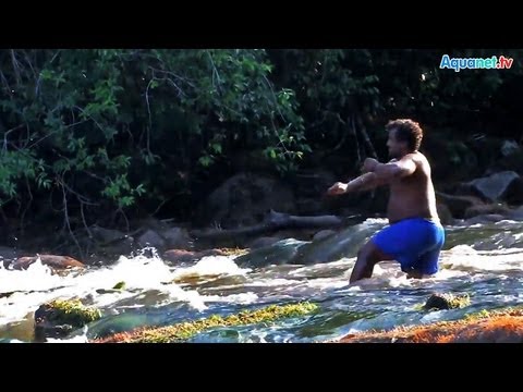 Catfish-Hunter auf Welssuche im Norden Amazoniens