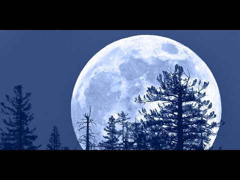 Click to Watch the Will the supermoon on Nov. 14 trigger a superquake? video