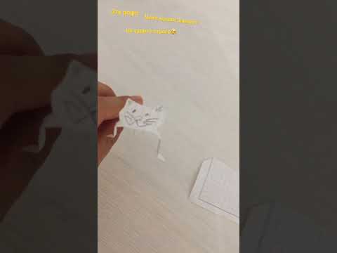 Как стать котом воителем #коты воители топ!