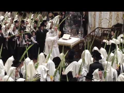 Bobover Rebbe Hoshana Rabbah 5777