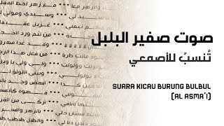 Download lagu Syair - Shoutu Sofir Al-Bulbul (Suara Kicauan Burung Bulbul) - karya Al Asmai mp3