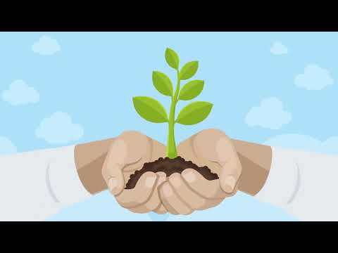 How to sustain good practice in Workplace Wellbeing?