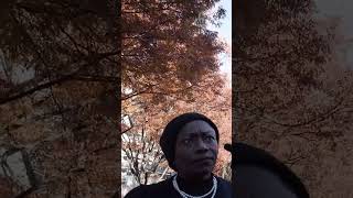 HEARTBREAKING: Interview With Black Woman Stopped by White Man