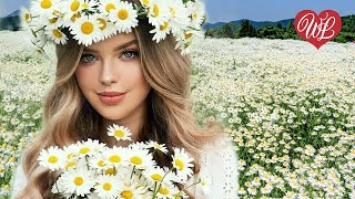 РОМАШКА ♥ ПЕСНИ НАШЕГО ДВОРА ♥ ЭТИ ПЕСНИ ИЩУТ ВСЕ ♥ ХИТЫ В ДОРОГУ♥ WLV ♥ RUSSIAN MUSIC