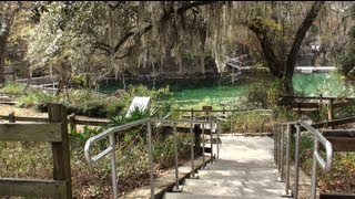 preview picture of video 'Fanning Springs State Park'