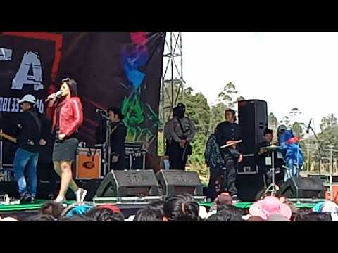 New Monata Dieng Karangsari