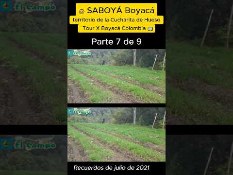 🥄 Saboyá Boyacá - Tierra de la Cucharita 🌄(Parte 7 de 9)