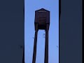 Bats Leaving a Big Bat House!