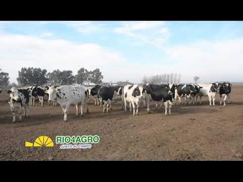 PROGRAMA RIO 4 AGRO 09 04 20 BLOQUE 1