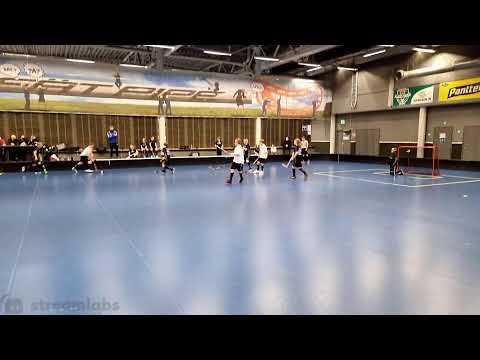 EräViikingit Kulta vs SB Vantaa Gepardit