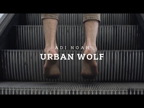 Adi Noah - Urban Wolf
