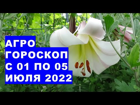 , title : 'Агрогороскоп с 01 по 05 июля 2022 года'