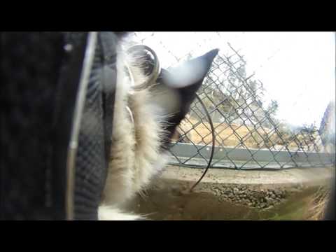 Bureiserens Isak Bjørn i hegn 44 Poeng