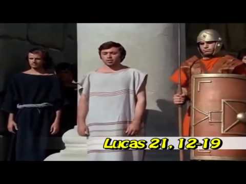 Lucas 21, 12-19 Evangelio Noviembre 23 2016