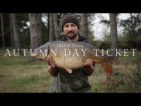 Autumn Day Ticket | Tom Stokes