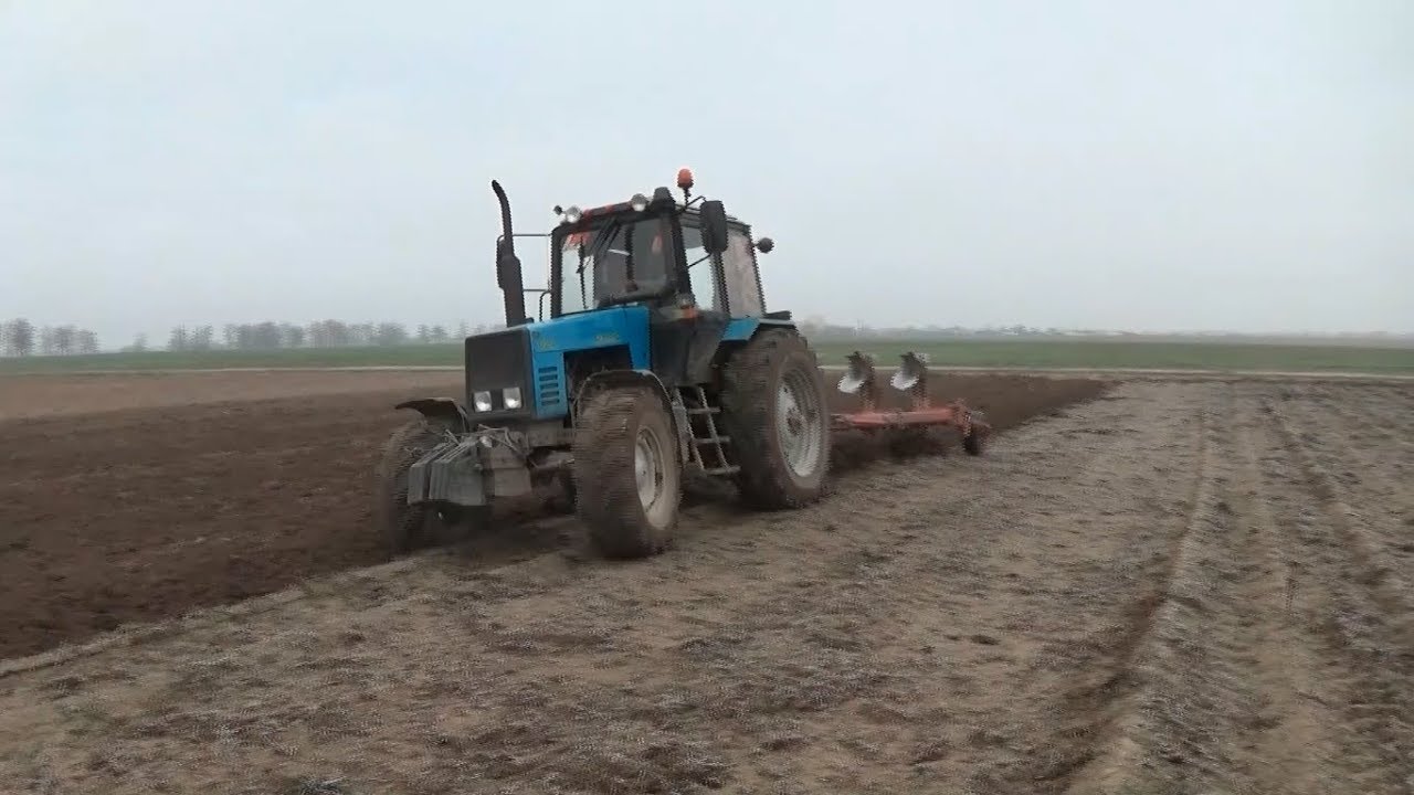 1221 пашет. Трактор мтз 80 с плугом. Трактор беларус 1221 с плугом. 1 с плугом. Мтз 82.