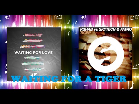 Avicii vs R3hab vs Skytech & Fafaq - Waiting For A Tiger