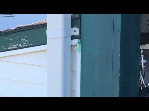 Yellow Jackets Stinging Owner & Horses in Colts Neck, NJ