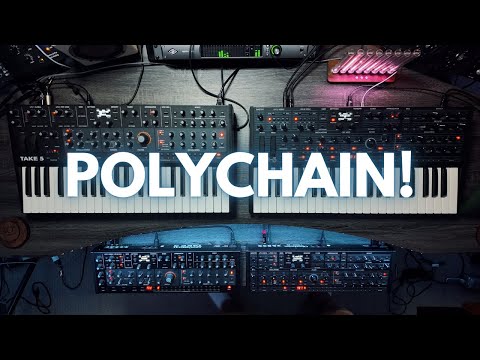 Devin Belanger and Sequential