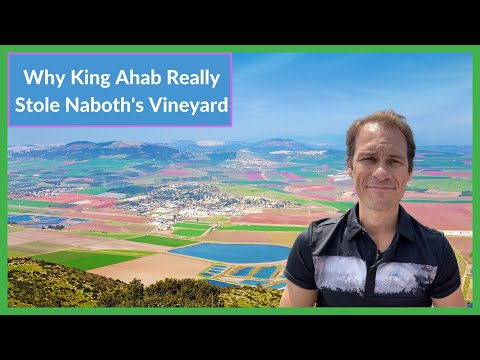 Why King Ahab Really Stole Naboth's Vineyard | On Location