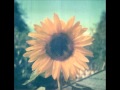 Elizabeth Mitchell - You Are My Sunshine 