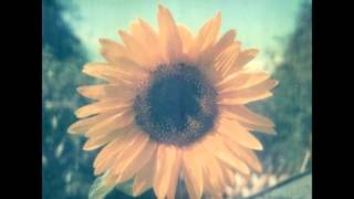 Elizabeth Mitchell - You Are My Sunshine
