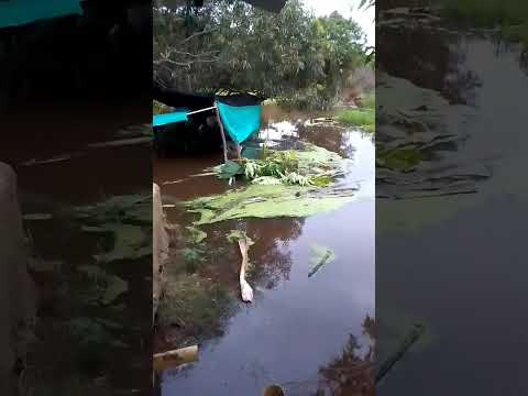 Inundación Barrio Nuevo 2 - Puerto Rondon
