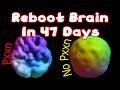 5 NEW Ways To Upregulate Dopamine After Porn Addiction D2 Receptors