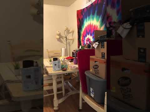 4 Bedroom Available August 2027! Monthly rent $3,240.00 property video