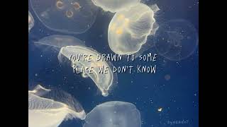 Download lagu Jellyfish 해파리 - HUH YUNJIN (English Lyric) #huhyunjin #lesserafim #해파리 mp3 Download lagu Jellyfish 해파리 - HUH YUNJIN (English Lyric) #huhyunjin #lesserafim #해파리 mp3