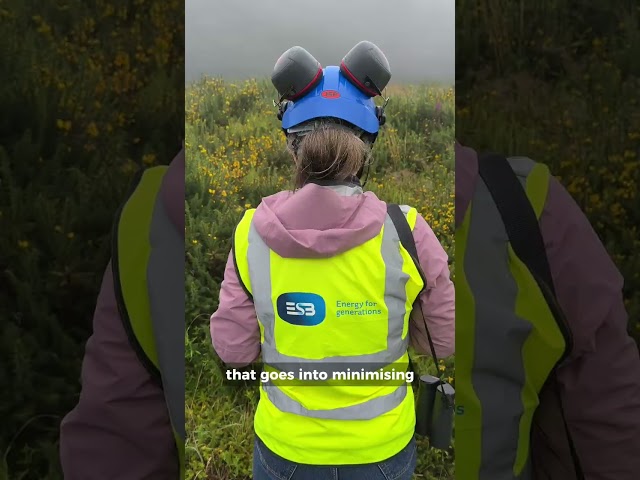 Senior Ecologist at ESB