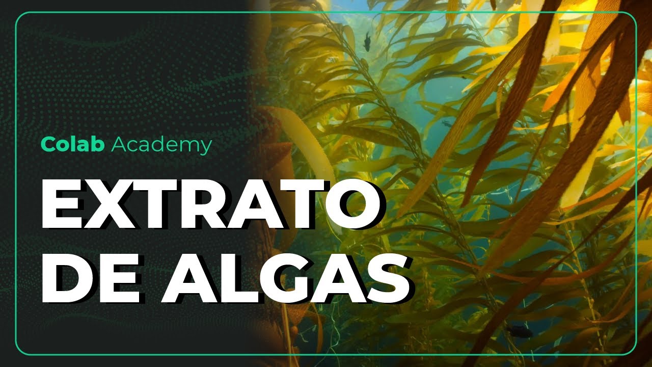 Colab Academy - Extrato de Algas